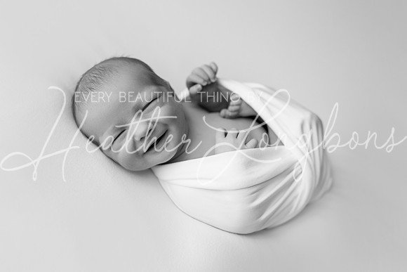 Hudson Newborn-16BW