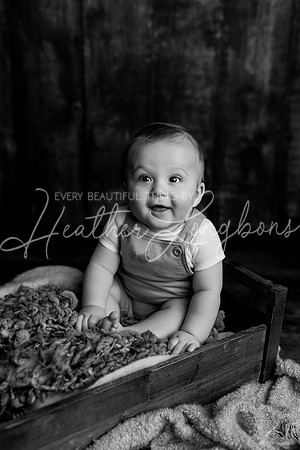 Deacon 6 months-52BW