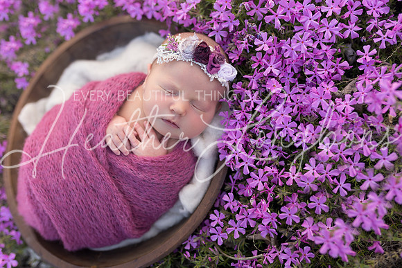 Finley Newborn-10