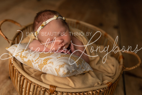 Ivory Newborn-25