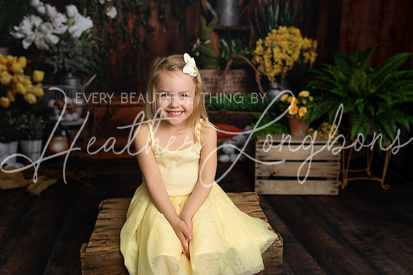 Spring Minis Lee-3
