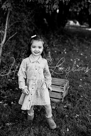 2026 Fall Minis Wolfe-48BW