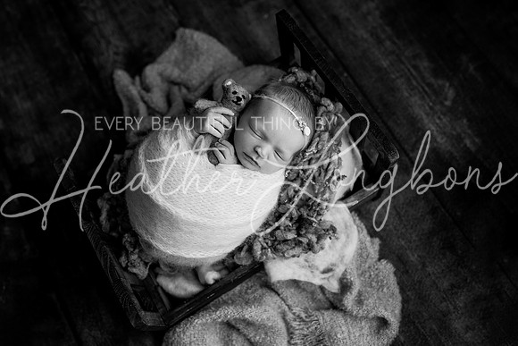 Ivory Newborn-11BW