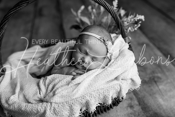 Collins Ward Newborn-3BW