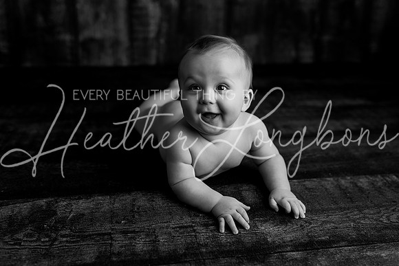 Deacon 6 months-80BW