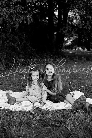 2026 Fall Minis Wolfe-29BW