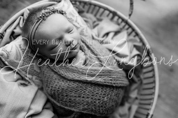 Ivory Newborn-13BW