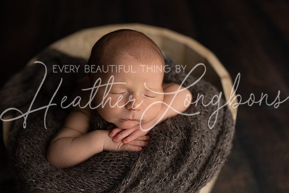 Ari Newborn-7
