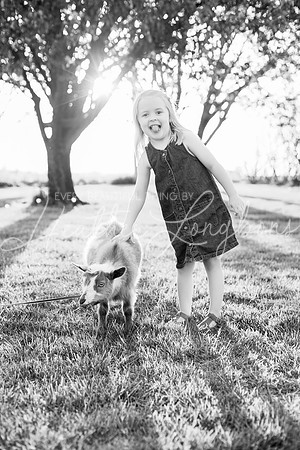 Westbrook family-81BW