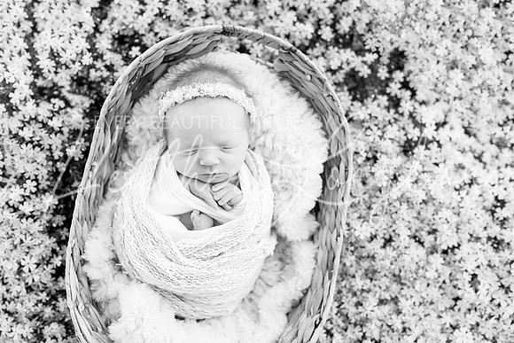 Ivory Newborn-20BW