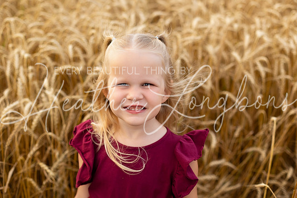 Wheat Field Bonds-23
