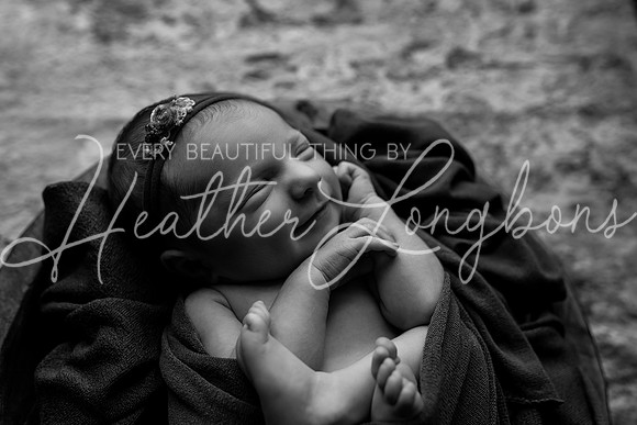 Ember Newborn-5BW