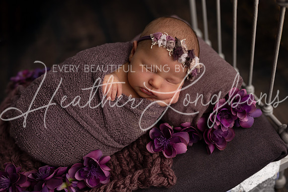 Finley Newborn-5