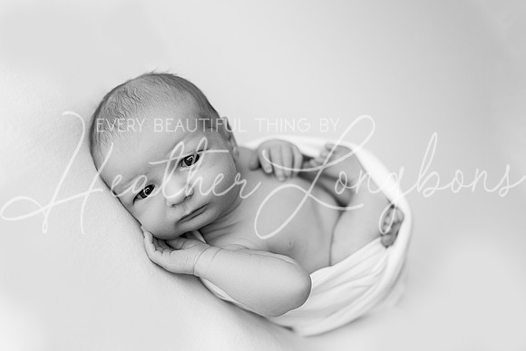 Hudson Newborn-15BW