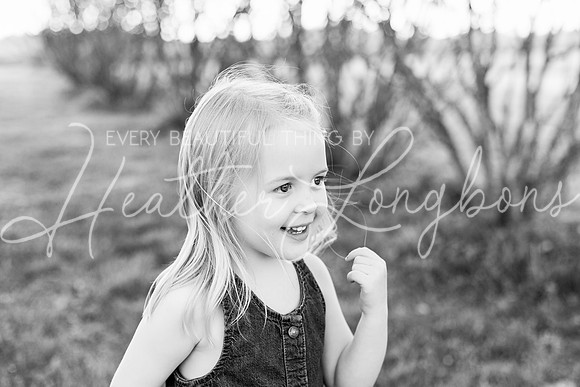 Westbrook family-5BW