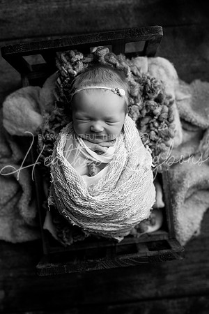 Ivory Newborn-22BW