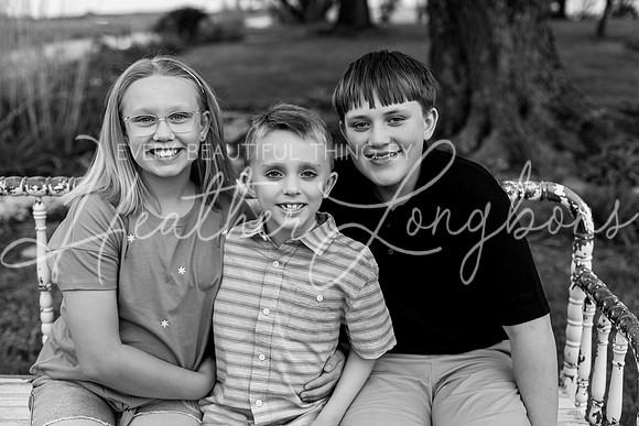 Pierce family-6BW