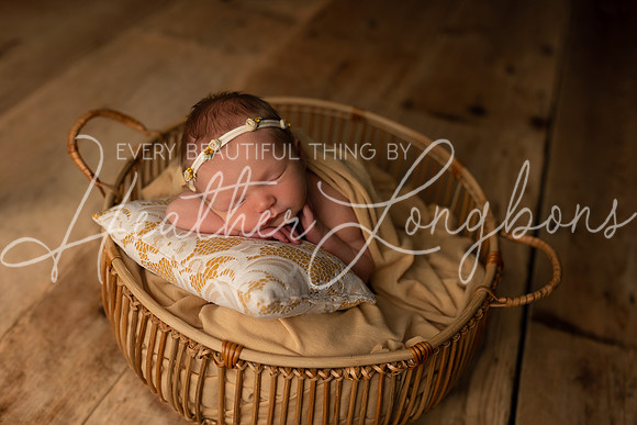 Ivory Newborn-24