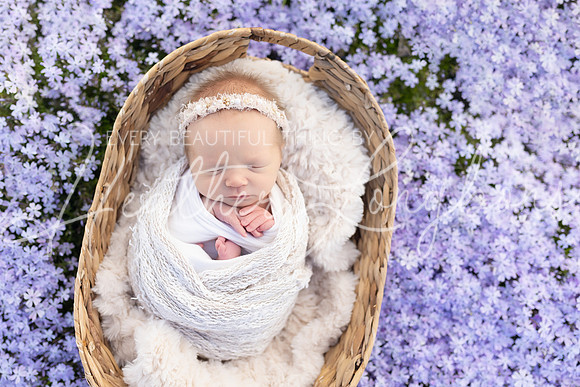 Ivory Newborn-20
