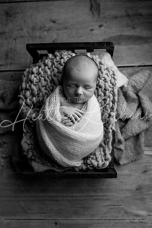 Ari Newborn-8BW