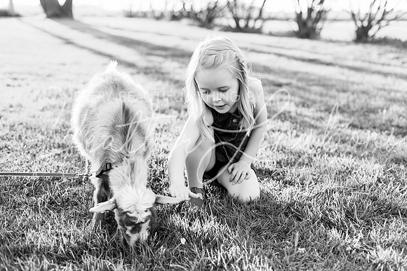 Westbrook family-78BW