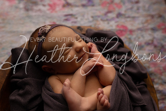 Ember Newborn-5