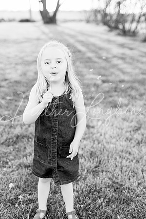 Westbrook family-3BW