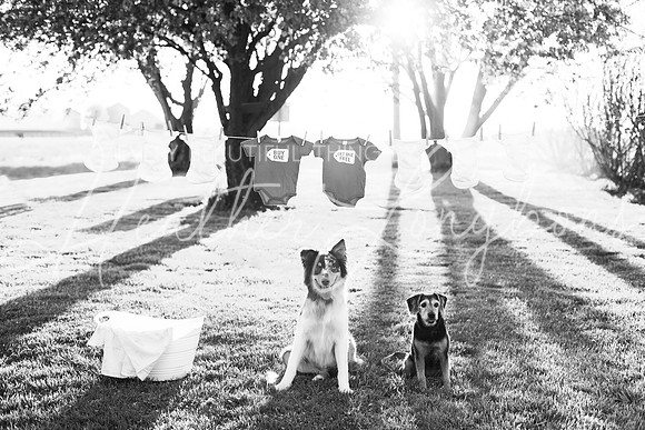 Miller Baby 2 Announcement-1BW