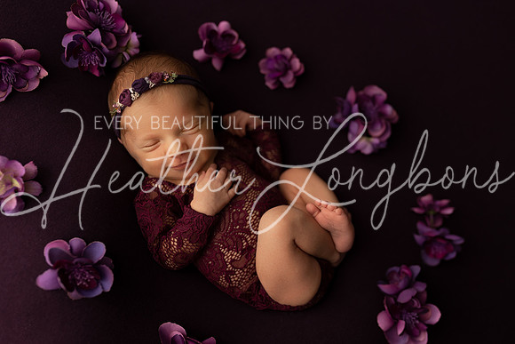 Ember Newborn-4