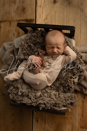 Hudson Newborn-7