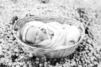 Ivory Newborn-9BW