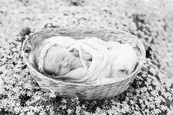 Ivory Newborn-9BW