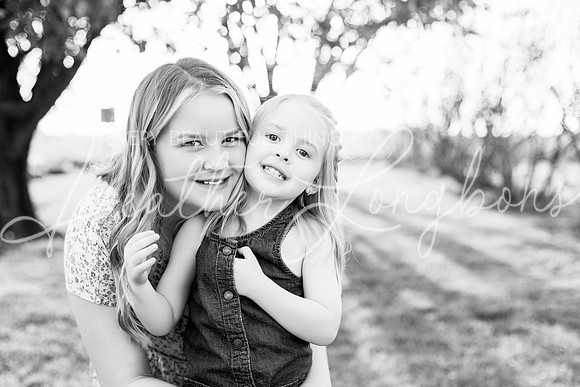 Westbrook family-41BW