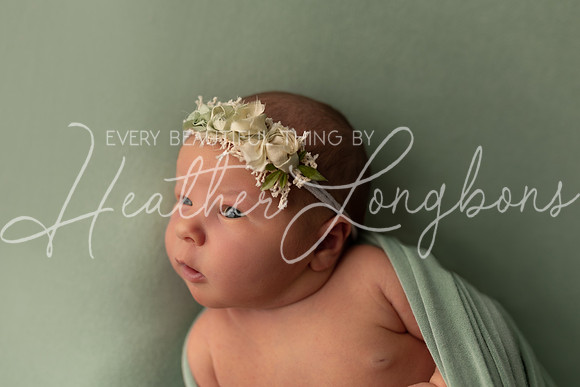 Finley Newborn-2