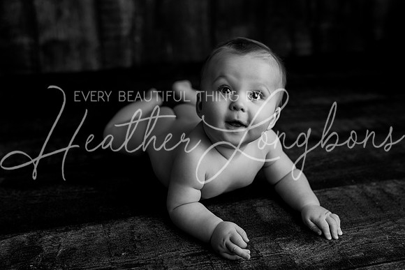 Deacon 6 months-83BW
