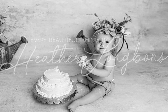 Colbie One Year-8BW