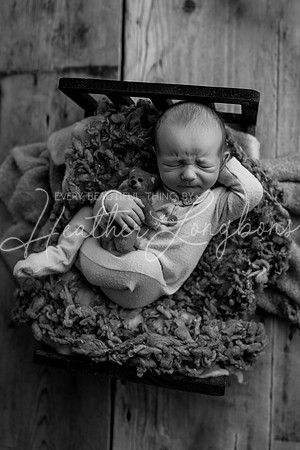 Hudson Newborn-7BW