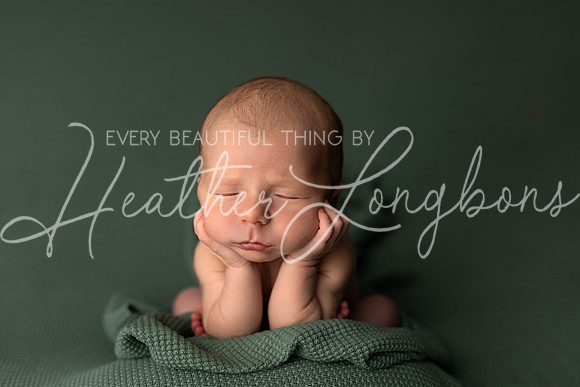 Ari Newborn-4