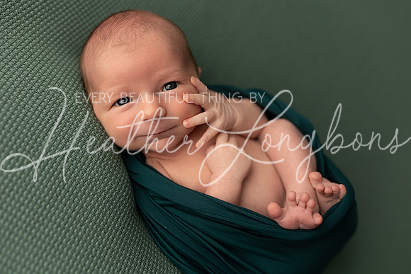 Ari Newborn-3