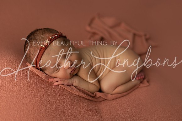 Ember Newborn-1
