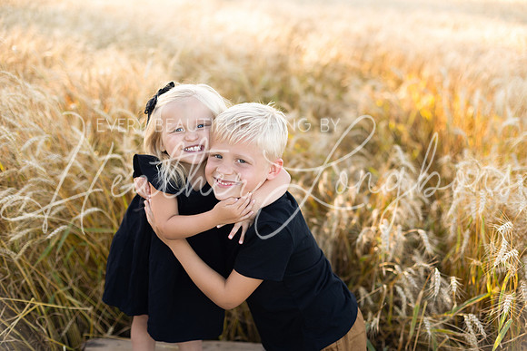 Wheat field Speirs-8