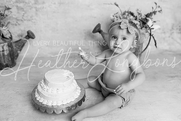 Colbie One Year-3BW