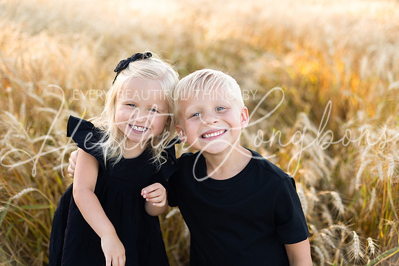 Wheat field Speirs-7