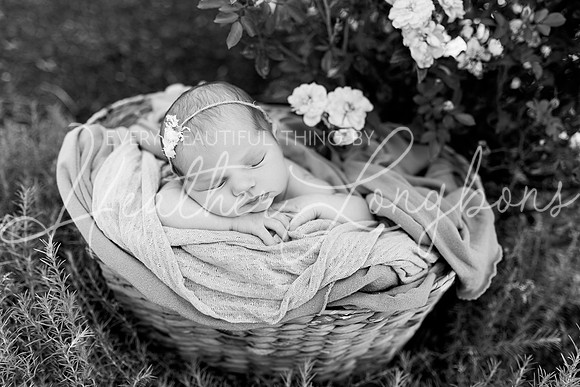 Rosemary Newborn-8BW