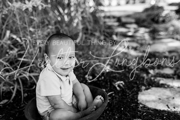 Evan Shake Smash-9BW