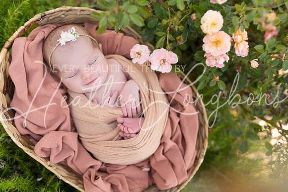 Rosemary Newborn-10