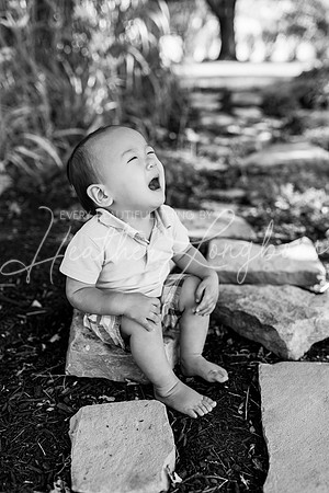 Evan Shake Smash-15BW