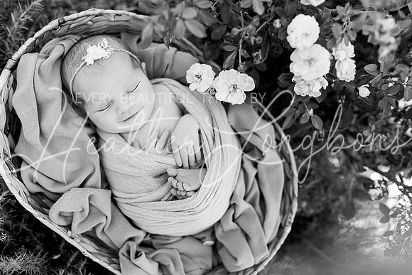 Rosemary Newborn-10BW