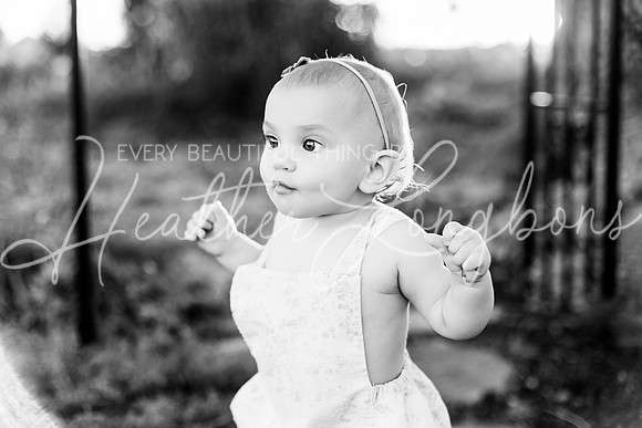 Van Matre family 2024-112BW