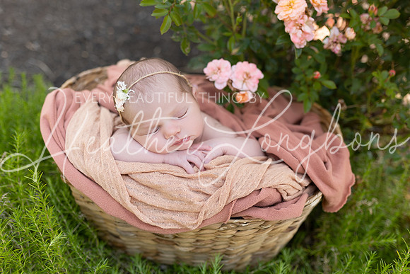 Rosemary Newborn-8